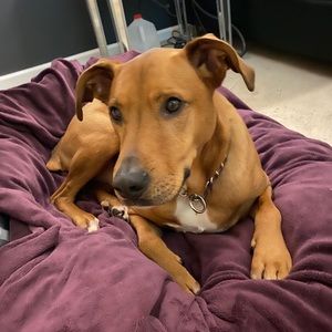 Meet your Posher, Roberto